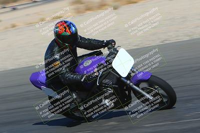 media/Mar-12-2022-SoCal Trackdays (Sat) [[152081554b]]/Turn 14 Inside (155pm)/